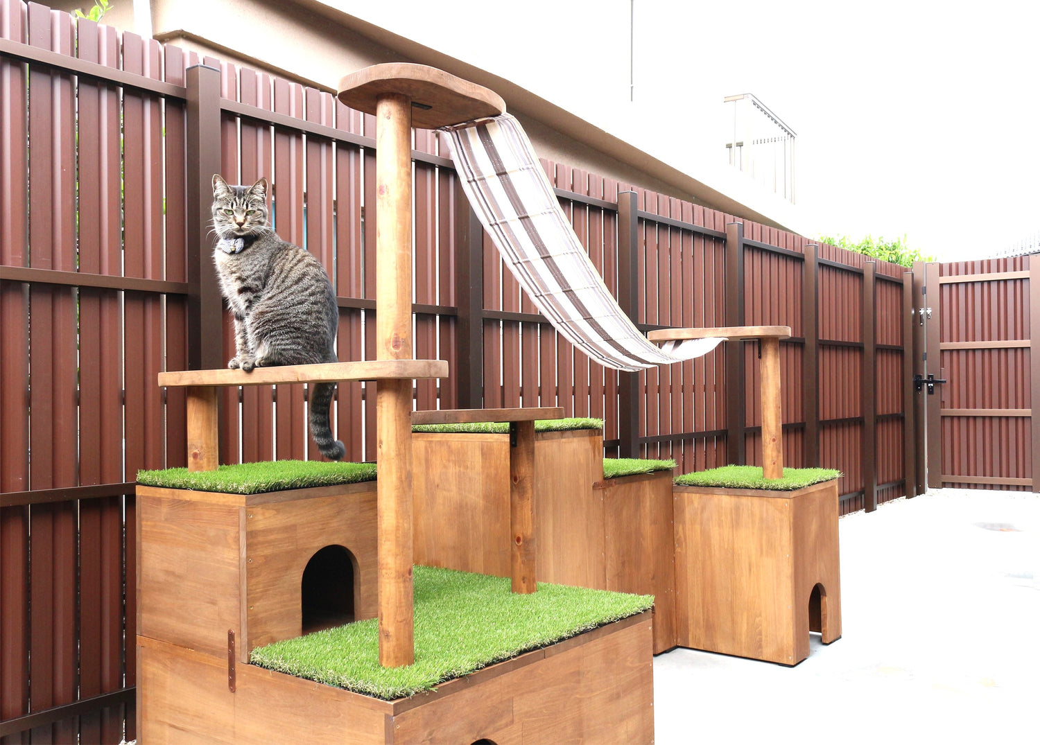 キャットタワーと猫
