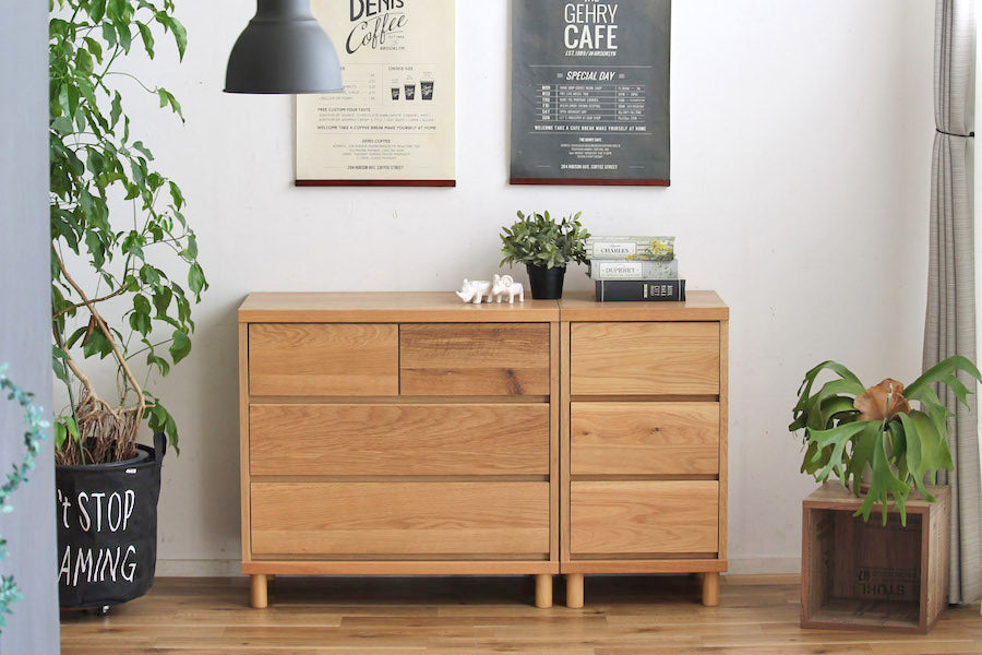 【送料無料】ハウタ 75 チェスト